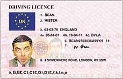 eu driving licence